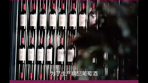 宁夏西鸽酒庄介绍 2023 https://www.flamenetshop.com/pages/西鸽酒庄-宁夏贺兰山东麓产区 - 天天要闻