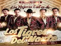 LOS TIGRES DEL NORTE MIX VOL 1