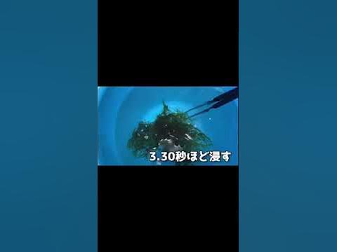 シュリンプ水槽 重曹とクエン酸で水草消毒 Shorts Youtube