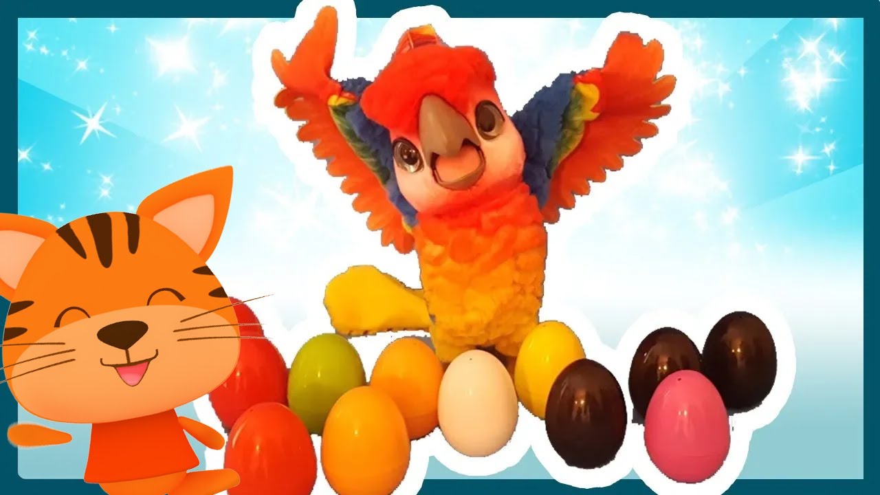 Le perroquet et ses œufs surprises de couleurs - Touni  - Titounis