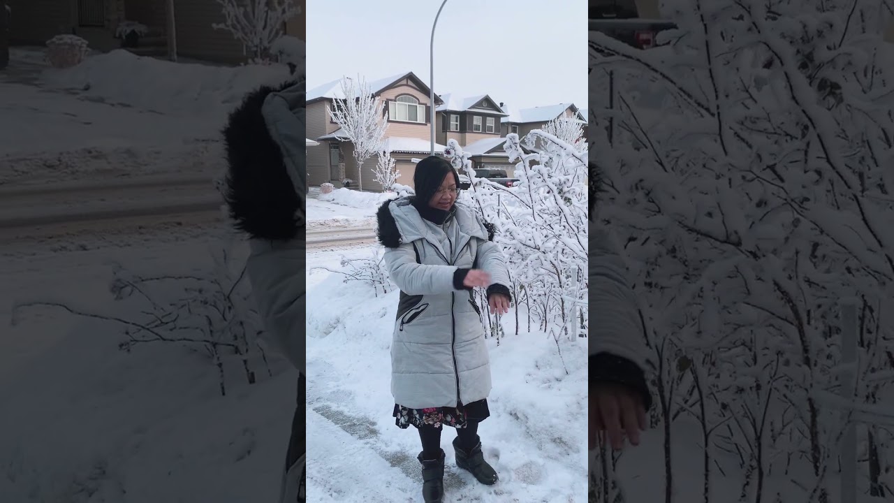 My husband’s rose garden under the blanket of snow