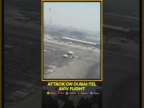 Flydubai Dubai-Tel Aviv Plane Diverted to Land in Saudi After Pilot Brawl | WION Shorts