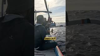 Mancing Mandas Strike Amber Jack