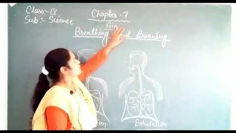 04.11.2020, Class-4, Sub-Science,Chapter-7(Air)