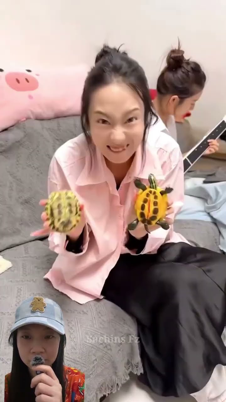 PRANK KURA-KURA ASLI ATAU PALSU ?!  #shorts