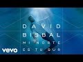 David Bisbal - Mi Norte Es Tu Sur (Audio)