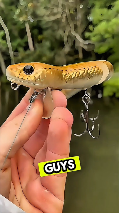 Watch Fishing Using Unique Bait Like Snakes 😱 #shorts #fishing #mancing