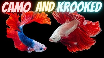 CAMO AND KROOKED LIVE @ RAMPAGE