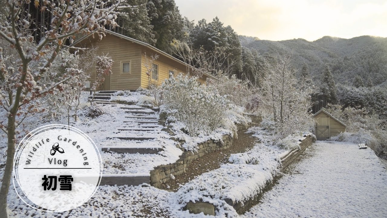 初雪｜球根の植え付け｜宿根草の移植｜バードフィーダーの設置🕊️