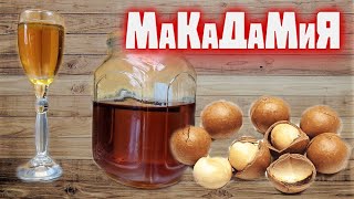 видео: такую настойку МаКаДаМиЯ вы никогда не пробовали. настойка макадамия на водке или самогоне картинка: такую настойку МаКаДаМиЯ вы никогда не пробовали. настойка макадамия на водке или самогоне