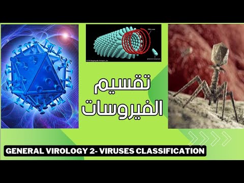     تقسيم الفيروسات