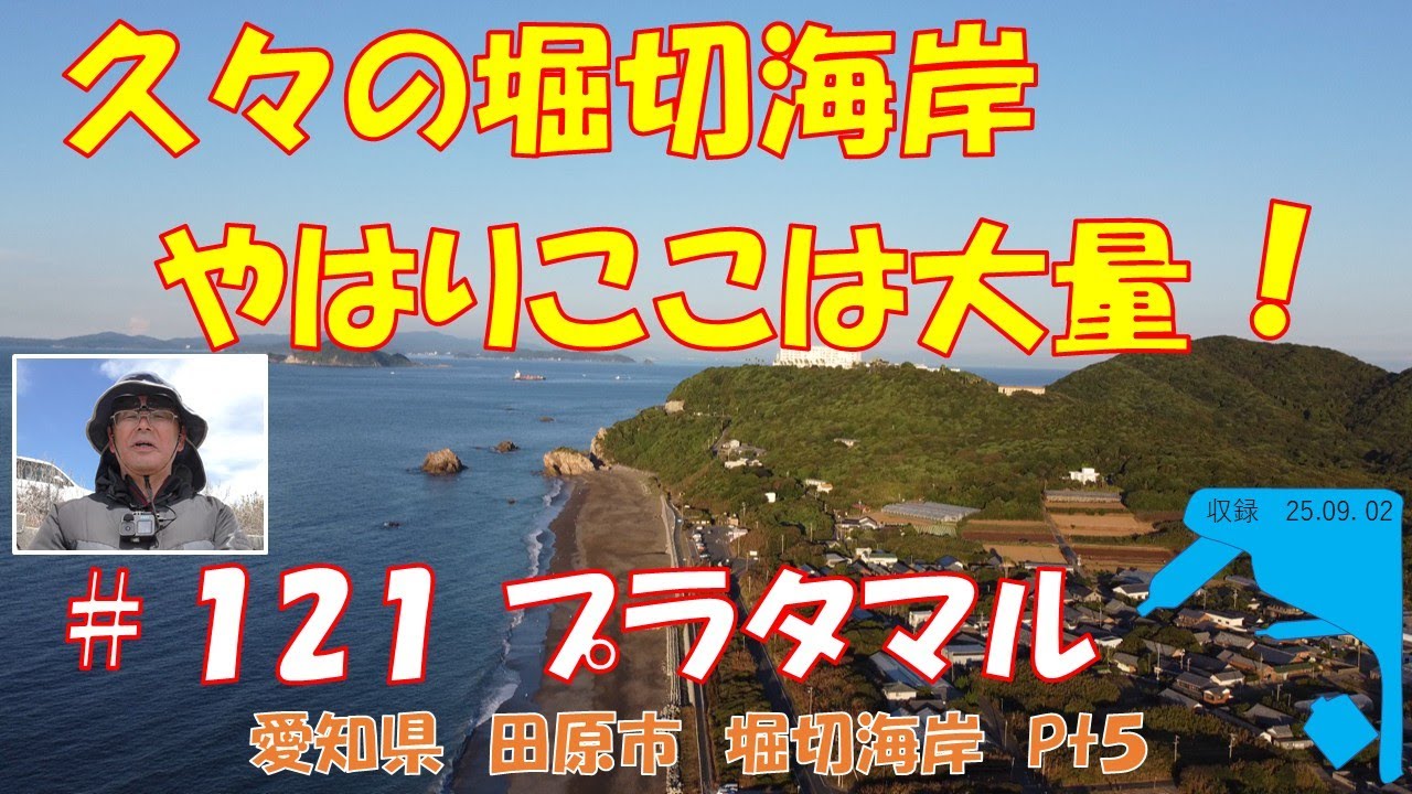 第１２１回プラタマル＜田原市堀切海岸Pt5＞