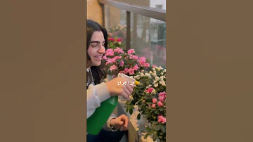 عمر ما حد اخد اماكنهم ابدا جوانا 