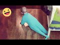 Try Not To Laught : Cute Babies NAUHTY will Make You Laugh | Funny Joker