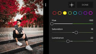 Red trees filter lightroom editing tutorial / DNG download Free screenshot 4