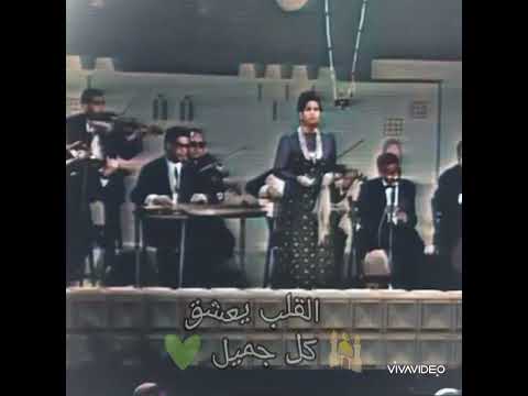 دعاني لبيته لحد باب بيته1