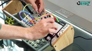 Noise Engineering Loquelic Iteritas Demo