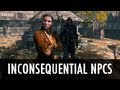 Skyrim Mod: Inconsequential NPCs