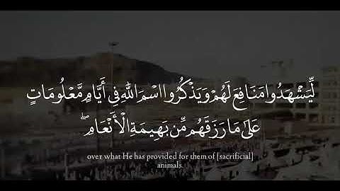 { وَأَذِّن فِي النَّاسِ بِالْحَجِّ يَأْتُوكَ رِجَالًا } آيات الحج
