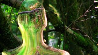 СТЕКЛЯННЫЕ СКУЛЬПТУРЫ В ШОТЛАНДСКОМ ЛЕСУ (Glass sculptures in the Scottish forest)