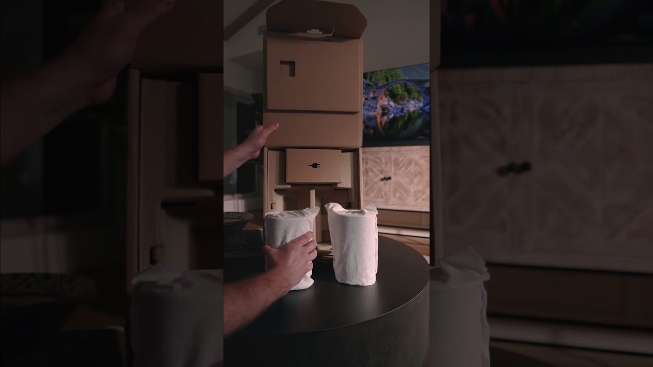 BRAVIA Theater Rear 8 Wireless Speakers