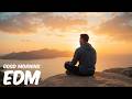 EDM Relax: Infinite Chill 🎧 Ambient EDM for Relaxing Moments
