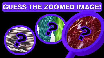 Ultimate Zoomed-In Picture Challenge: Can You Guess the close up in 10 Seconds?