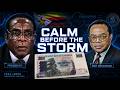 Zimbabwe Banknotes & Coins (1994 - 2003) | Leonard Tsumba Era
