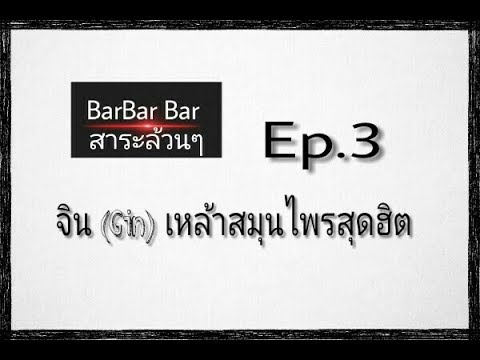 สาระล้วนๆ Ep.3 "จิน (Gin) เหล้าสมุนไพรสุดฮิต" | สรุปเนื้อหาที่มีรายละเอียดมากที่สุดเกี่ยวกับเครื่องดื่ม จิน