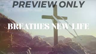 Made New Easter Bumper Preview Video
