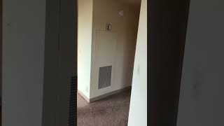 Video Tour: Apartment W-504