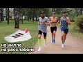 Триатлет укатал срывоеда и консультанта в новых adidas Boston 10