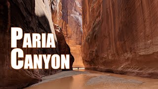 Hiking Buckskin Gulch and Paria Canyon to Lee's Ferry | 4K