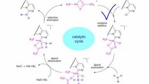 The mechanism for metal-catalyzed substitution at an sp2-carbon