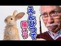 [Eng sub] Draw a cute rabbit with a pencil!