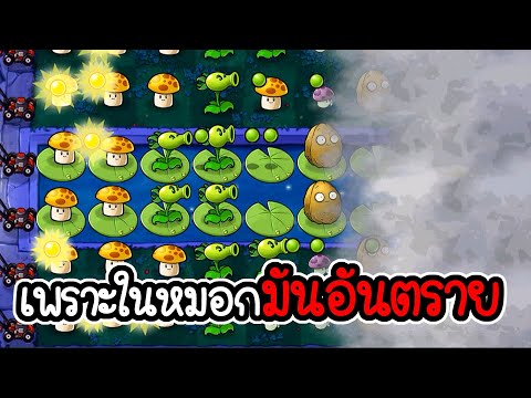 ตั้งรับซอมบี้กลางสายหมอก - Plant vs Zombies #6 [ เกมมือถือ ]