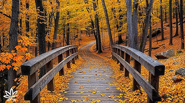 Beautiful Relaxing Music 🍁 Autumn Melodies for Stress Relief & Inner Peace, Stop Overthinking