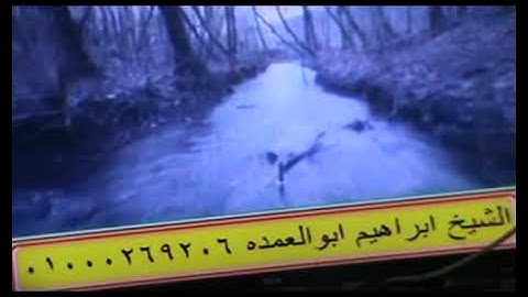 @القارئ الشيخ فتحى عبدالمنعم خليف  تالق تلاوه نادره سوره المائده للسميعه الكبارماشاااااااااااء الله