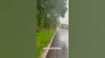 سورة الأنعام  | ياسر الدوسري