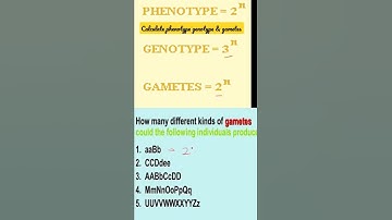 Calculate Phenotype, Genotype & gametes within 10 seconds|Life sciences