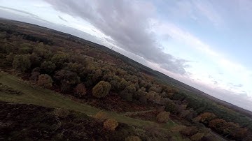 ZMR250 and GoPro mount. It always ends the same