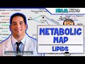 Metabolism | The Metabolic Map: Lipids | Part 2