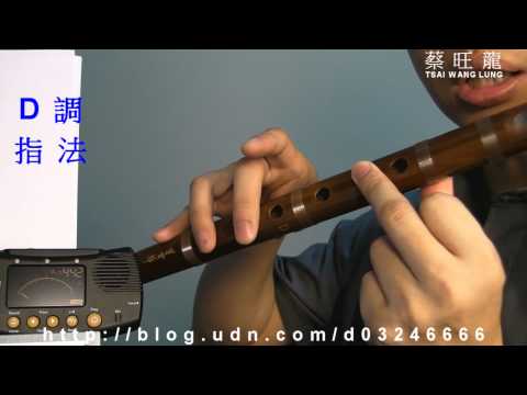 D調曲笛 D調音階 的幾個替代指法６之２／DiZi／笛子教學系列 - 2010-9-4