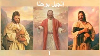 ✥ 4. إنجيل يوحنا (الكتاب المقدس الصوت باللغة العربية) ✥