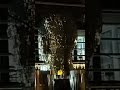 Чудо-голова Франца Кафки. Прага 2023. Zázračná hlava Praha 2023.