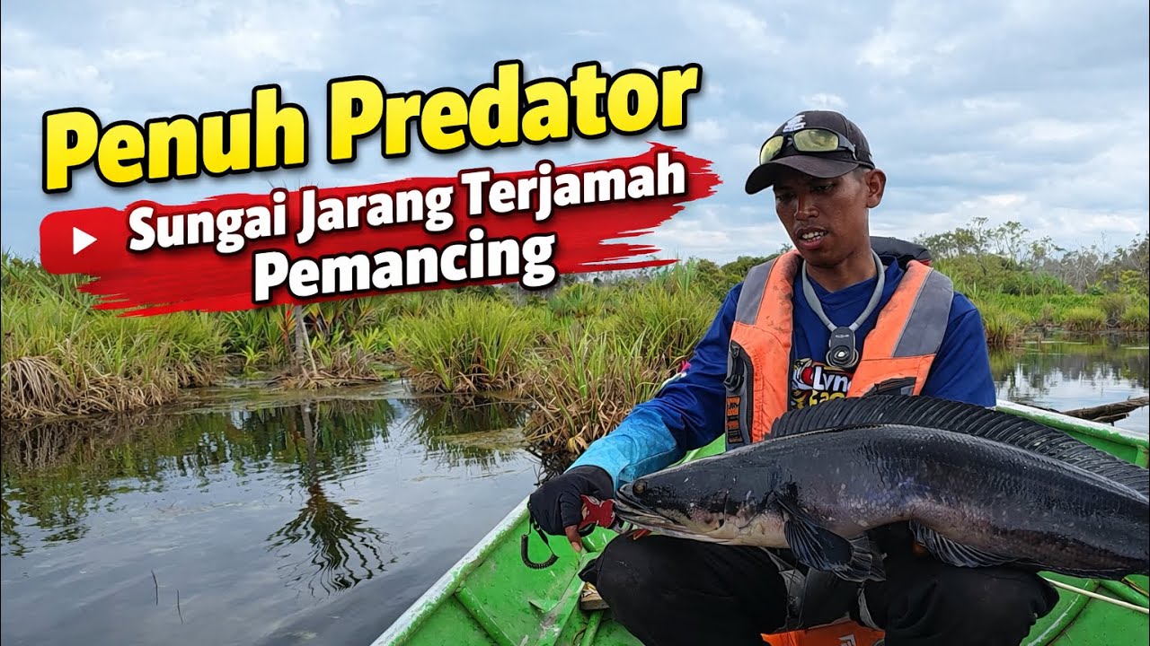 JARANG TERJAMAH PEMANCING, SUNGAI INI MENJADI SARANG KERAJAAN TOMAN #part2