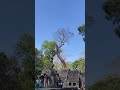 World beautiful is Taphrom temple