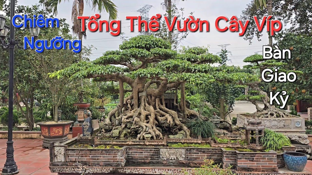 THĂM KHÔNG GIAN NV ĐẸP & BÀN GIAO 2 KỶ cho anh SƠN - Thường Tín - Hà Nội để kịp ĐÓN TẾT BÍNH NGỌ .