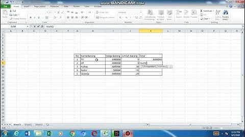Pembelajaran TIK Kelas 5 Microsoft Excel Pemberian Rumus Penjumlahan Perkalian pada Tabel