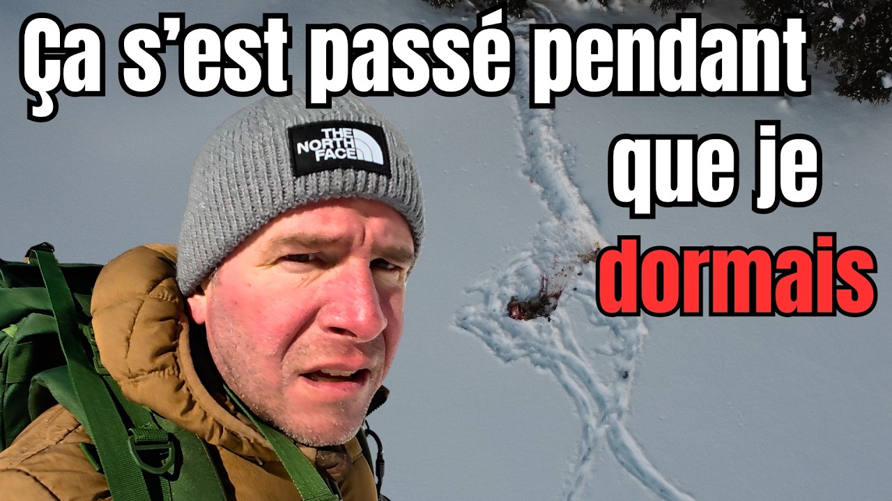 SEUL... EN PLEIN TERRITOIRE DE LOUPS🐺